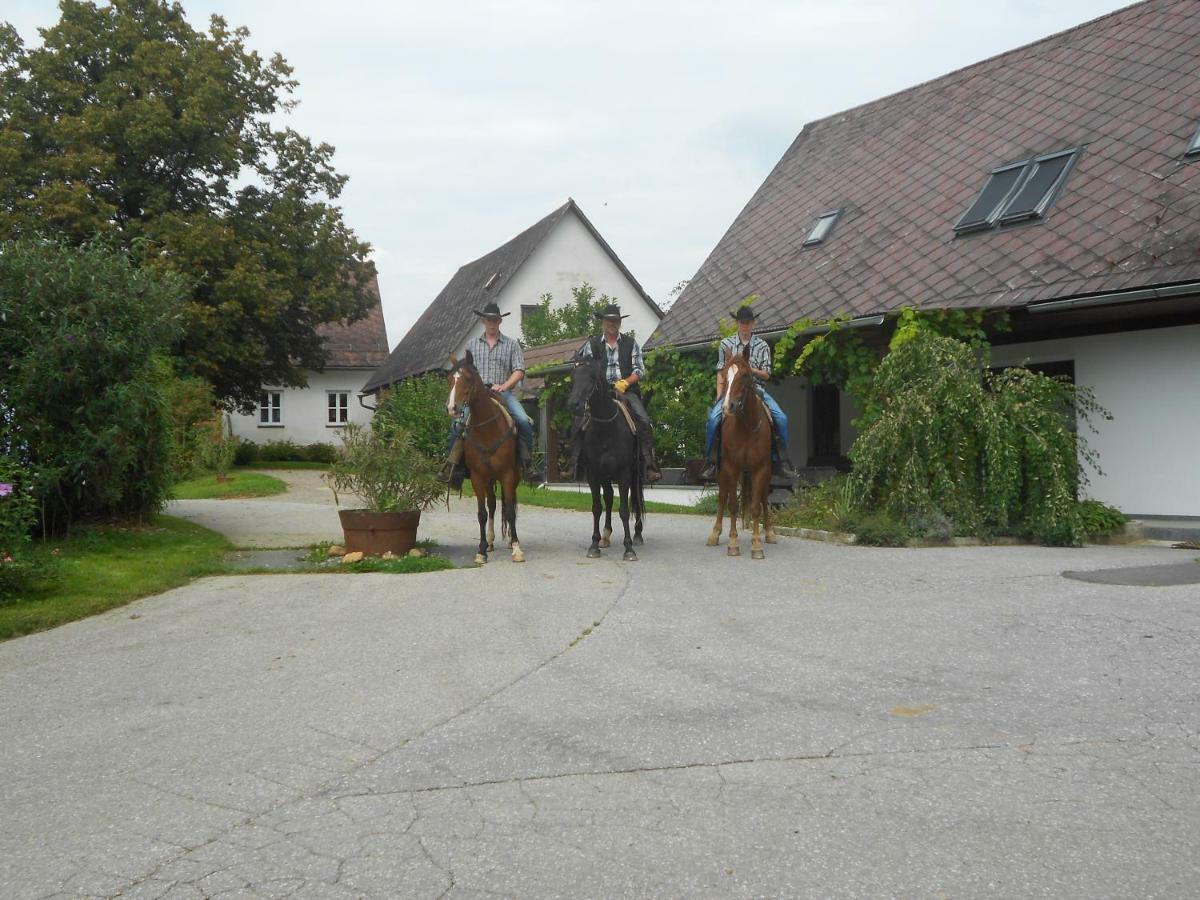 EibiswaldWohlfuehlbauernhof Siebernegg别墅 外观 照片